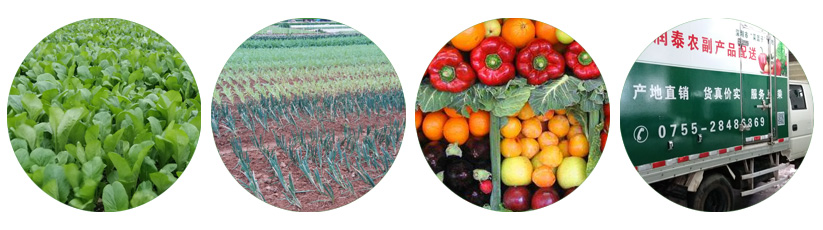 未标题-1_03.jpg 未标题-1_03.jpg